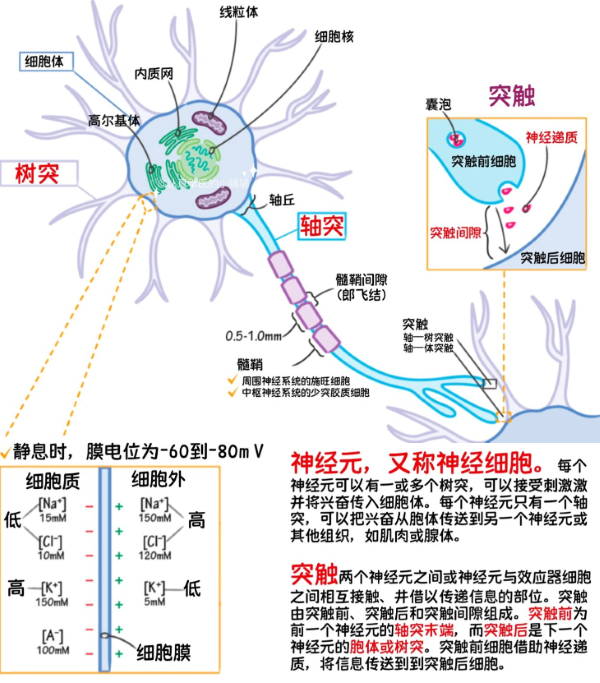 image-20260415220659320